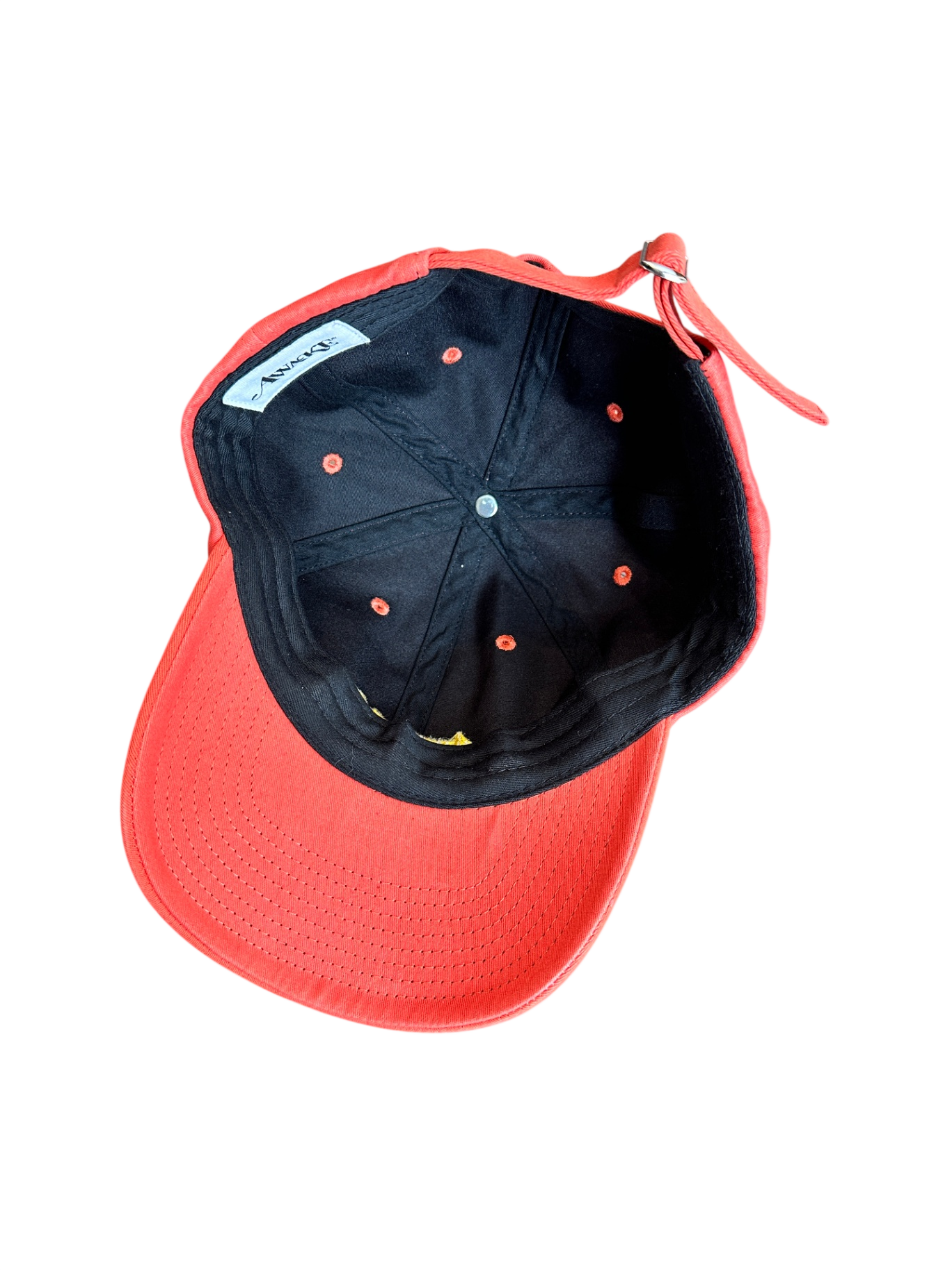 Awake NY Logo 6 Panel Hat Coral / One Size