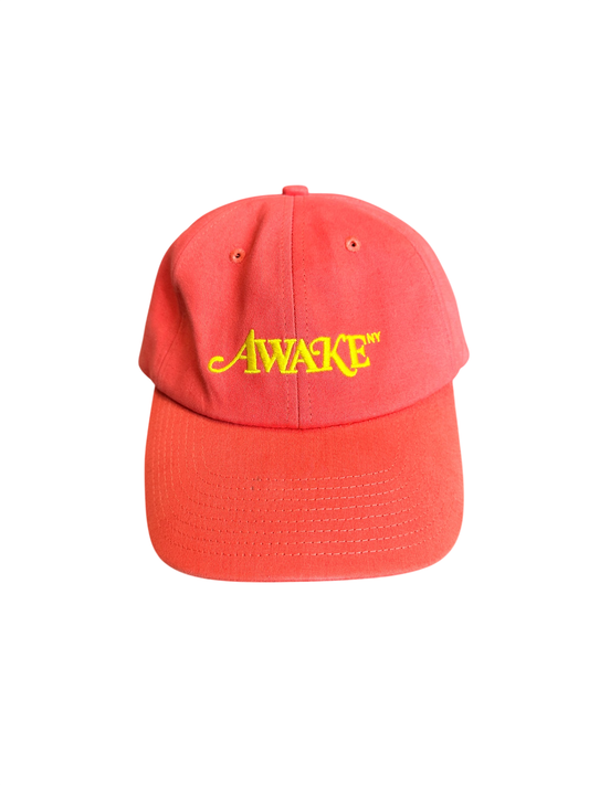 Awake NY Logo 6 Panel Hat Coral / One Size