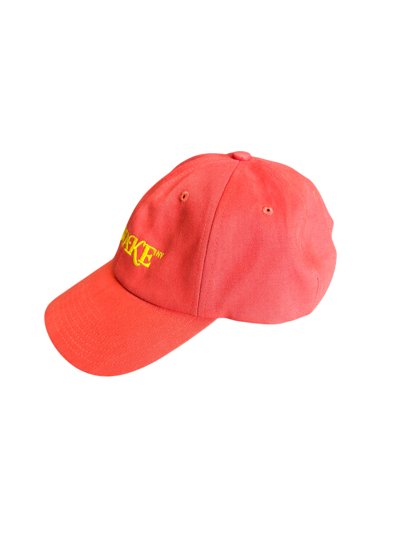 Awake NY Logo 6 Panel Hat Coral / One Size