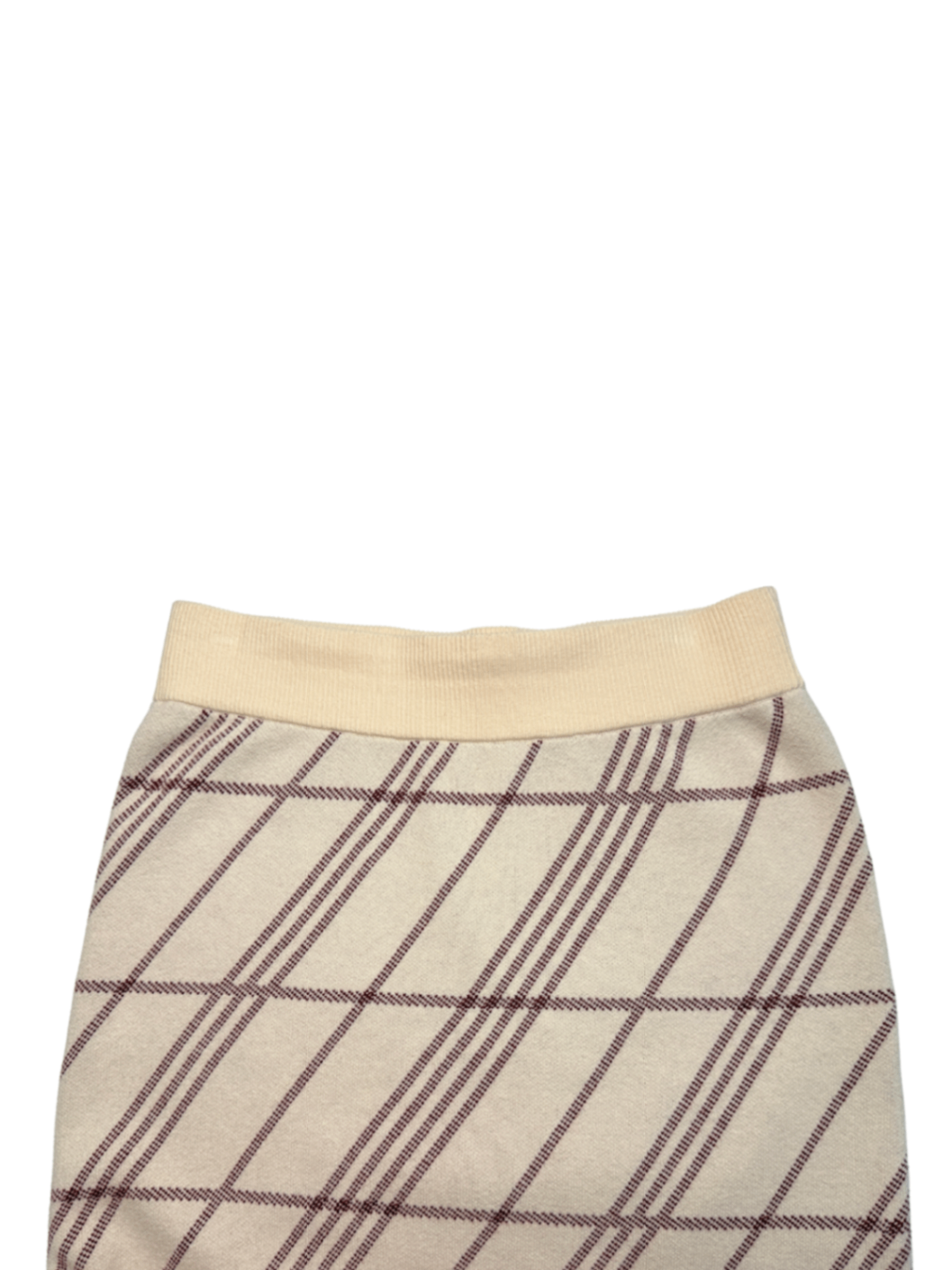 Radine Skirt Check / Size M